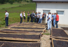 Exchange Visit Informs and Inspires Kosovo Farmers to Cultivate Medicinal Aromatic Plants