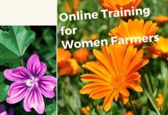 Online Training for Women Farmers of Aromatic Medicinal Plants